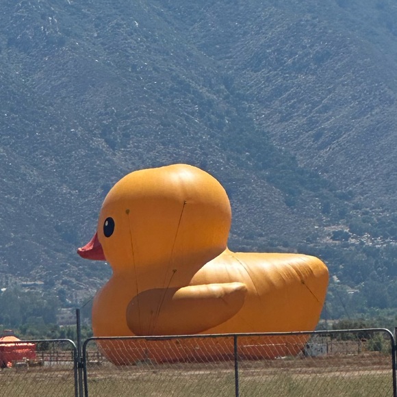 Meet your Posher, Juan - Picture 1 of 1